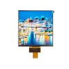 7.5inch 800*800 MIPI Square display for smart home 7.5inch 800*800 MIPI Square display for smart home