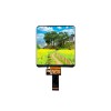 5 Inch 720x720 Resolution In-Cell LCD Square Screen with Built-in Touch Function 5 Inch 720x720 Resolution In-Cell LCD Square Screen with Built-in Touch Function