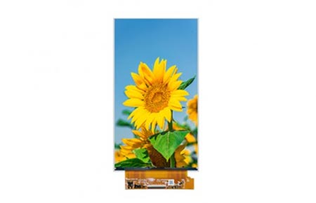 High Brightness LCD